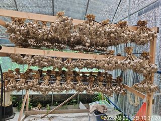 다일부동산님의 자유주제 · 자유게시판 작성글 사진