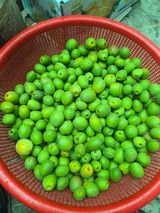 팜모닝 자유주제·자유게시판 게시글 이미지