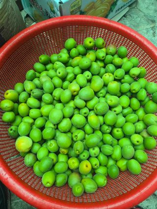 신인자님의 자유주제 · 자유게시판 작성글 사진