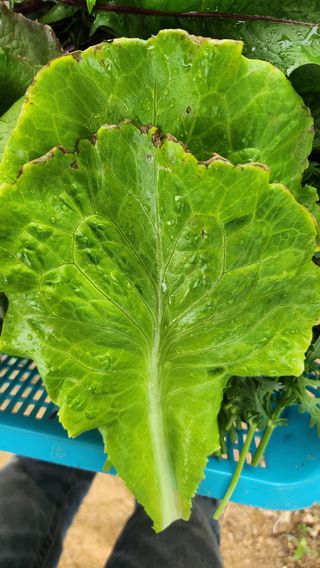 래순님의 자유주제 · 자유게시판 작성글 사진