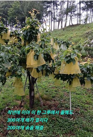 인생은 소풍처럼님의 자유주제 · 자유게시판 작성글 사진