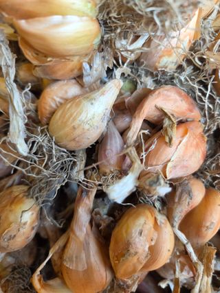 knlee님의 작성글 사진