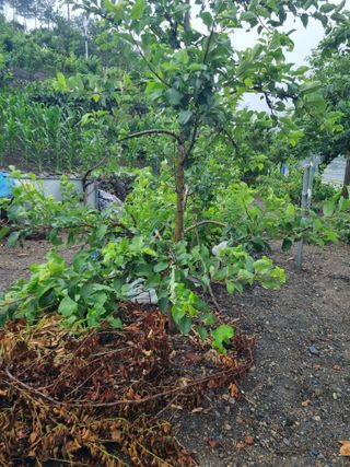 김용대님의 자유주제 · 자유게시판 작성글 사진