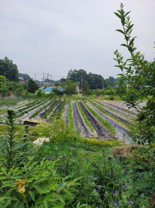 (어울림)님의 자유주제 · 자유게시판 작성글 사진