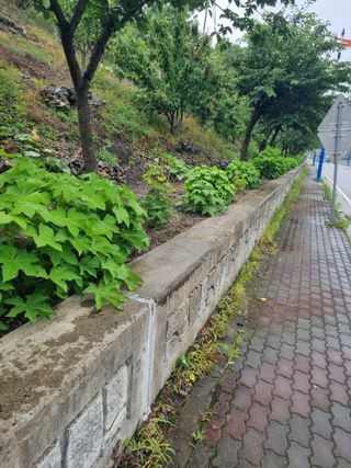 김용대님의 자유주제 · 자유게시판 작성글 사진