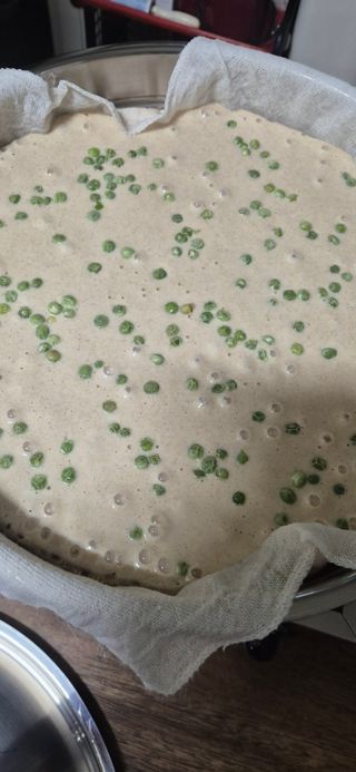 봉림동 태진농장님의 자유주제 · 자유게시판 작성글 사진