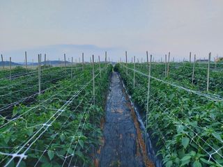 둥이농장(김준태)님의 자유주제 · 자유게시판 작성글 사진