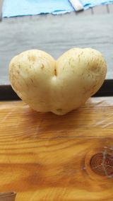 팜모닝 자유주제·자유게시판 게시글 이미지