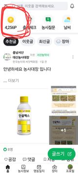 팜모닝 자유주제·자유게시판 게시글 이미지