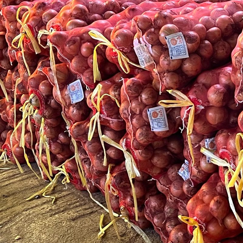 산들님의 장터 판매 상품 [[산지직송] 국내산 햇양파 13kg] 첨부 사진