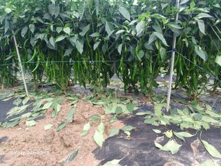 이창우님의 자유주제 · 자유게시판 작성글 사진