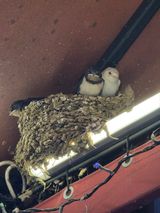 팜모닝 자유주제·자유게시판 게시글 이미지