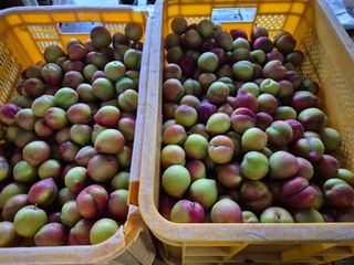 천운산님의 자유주제 · 자유게시판 작성글 사진