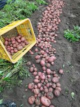 팜모닝 자유주제·사진전 게시글 이미지