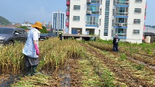 귀향인님의 작성글 사진