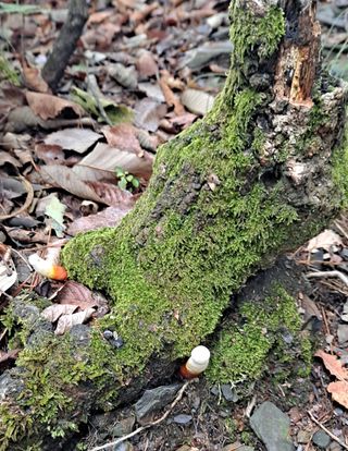 MSG0074님의 자유주제 · 자유게시판 작성글 사진