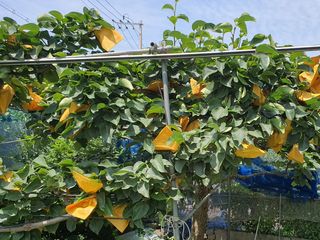 하나라도 소중하게님의 자유주제 · 자유게시판 작성글 사진