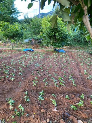 천예별님의 자유주제 · 자유게시판 작성글 사진