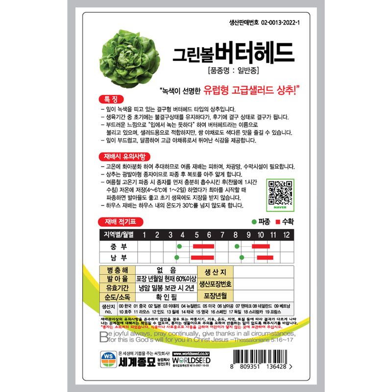 주주씨앗님의 장터 판매 상품 [그린볼버터헤드 1000립 버터헤드씨앗] 첨부 사진