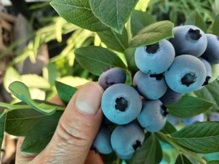 금동이네님의 자유주제 · 자유게시판 작성글 사진