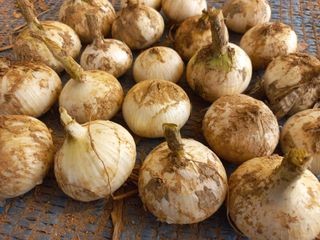 박린님의 자유주제 · 자유게시판 작성글 사진