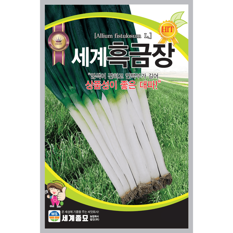 장터 상품 [세계 흑금장파 80g 대파씨앗 파씨앗] 썸네일