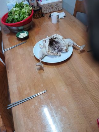 알 수 없음님의 자유주제 · 자유게시판 작성글 사진