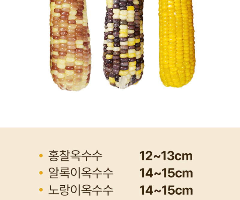 스피드번님의 장터 판매 상품 [찰옥수수 혼합 3종] 첨부 사진