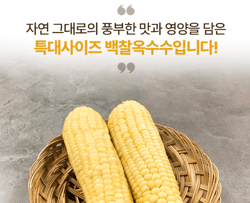 스피드번님의 장터 판매 상품 [백찰옥수수 (특품)] 첨부 사진