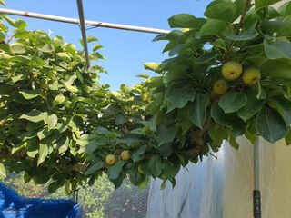 하나라도 소중하게님의 자유주제 · 자유게시판 작성글 사진