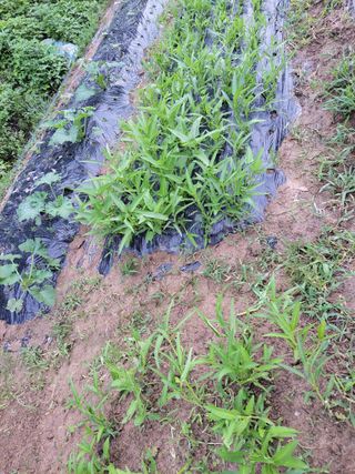 원빈님의 자유주제 · 자유게시판 작성글 사진