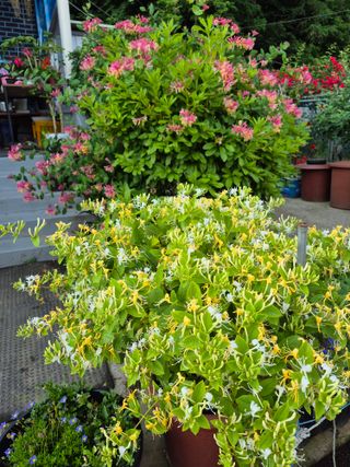 엘림농장님의 자유주제 · 사진전 작성글 사진