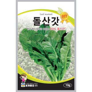 주주씨앗님의 작성글 사진