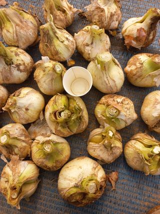 박린님의 자유주제 · 자유게시판 작성글 사진