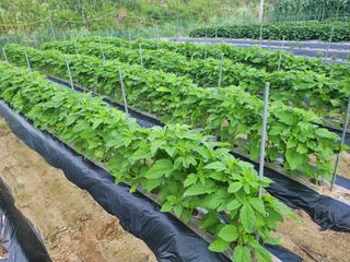 땅땅님의 자유주제 · 자유게시판 작성글 사진