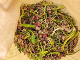 땅땅님의 자유주제 · 자유게시판 작성글 사진