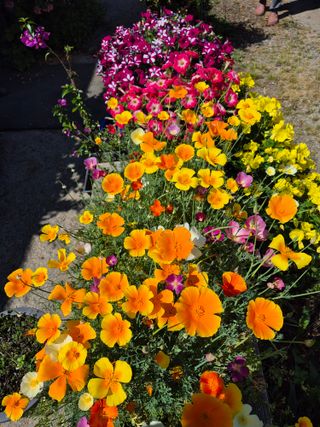 엘림농장님의 자유주제 · 사진전 작성글 사진