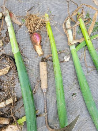 땅땅님의 자유주제 · 자유게시판 작성글 사진