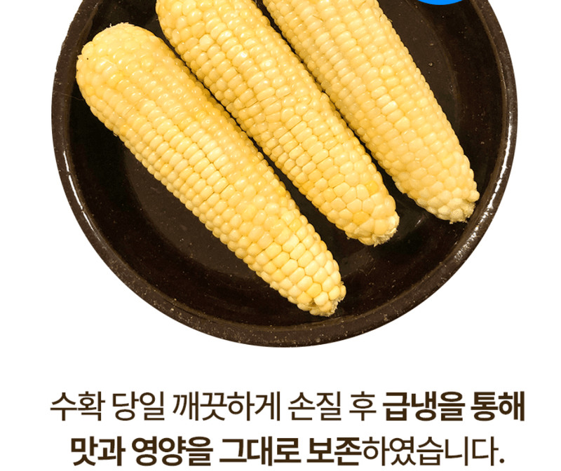 스피드번님의 장터 판매 상품 [백찰옥수수 (특품)] 첨부 사진