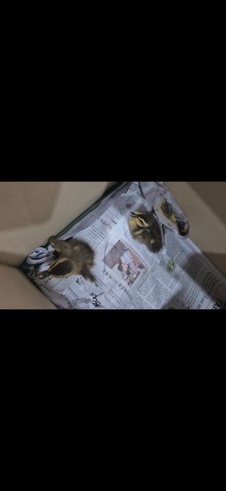 자연치유님의 자유주제 · 건의해요 작성글 사진