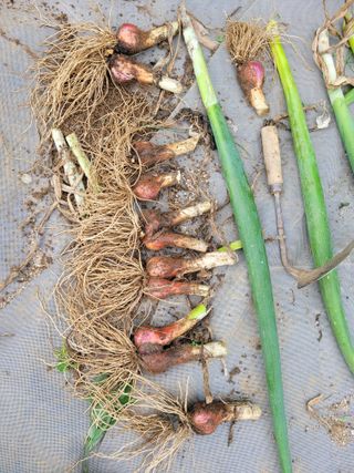 땅땅님의 자유주제 · 자유게시판 작성글 사진