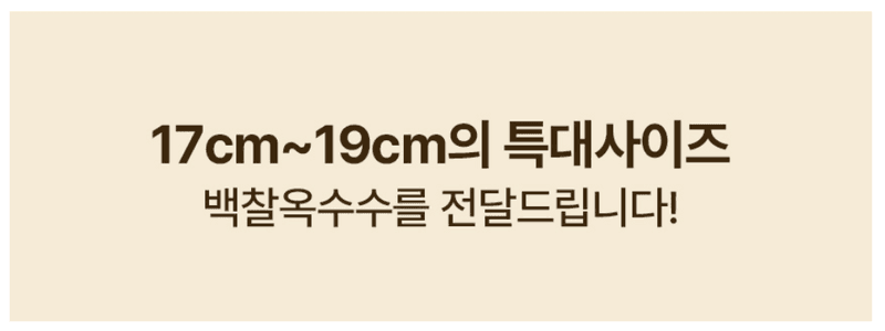 스피드번님의 장터 판매 상품 [백찰옥수수 (특품)] 첨부 사진