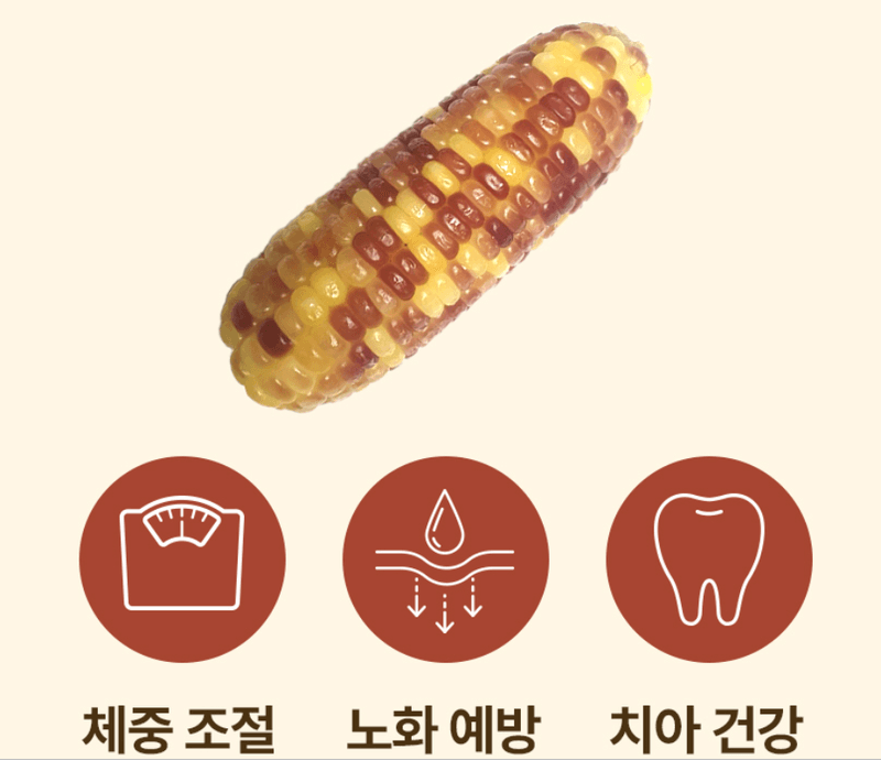 스피드번님의 장터 판매 상품 [홍찰옥수수] 첨부 사진