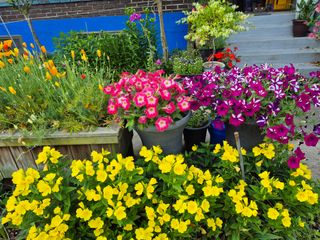 엘림농장님의 자유주제 · 사진전 작성글 사진