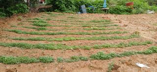 산골마님님의 자유주제 · 자유게시판 작성글 사진