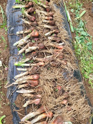 땅땅님의 자유주제 · 자유게시판 작성글 사진