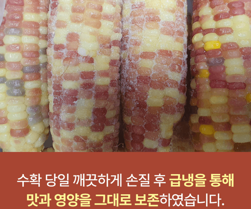 스피드번님의 장터 판매 상품 [홍찰옥수수] 첨부 사진