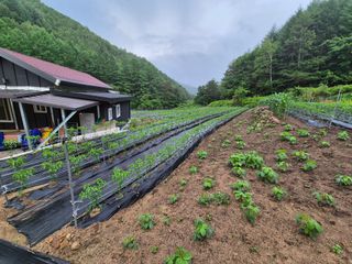 이금범님의 작성글 사진