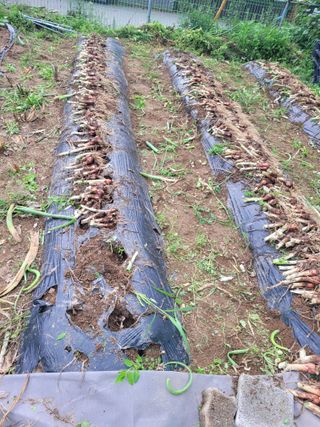 땅땅님의 자유주제 · 자유게시판 작성글 사진