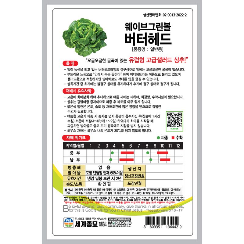 주주씨앗님의 장터 판매 상품 [웨이브그린볼버터헤드 1000립 버터헤드씨앗 / 상추 씨앗] 첨부 사진